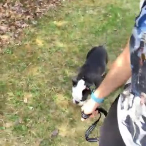 Video by sarahclayton published on April 9,2023 15:21:00 - BestThots