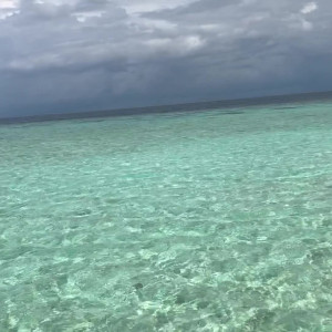 Video by cleagaultier published on May 12,2023 02:19:00 - BestThots
