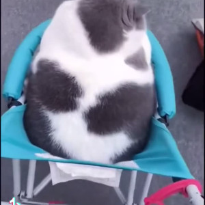 Video by thenewqueenofcomedy published on June 27,2023 17:41:00 - BestThots