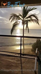 mandymayak05 #9742364