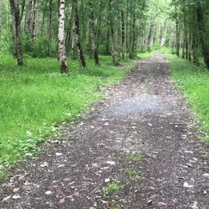 Video by brentrayfraserxxx published on August 24,2023 18:11:25 - BestThots