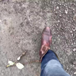 Video by brentrayfraserxxx published on August 24,2023 18:34:30 - BestThots