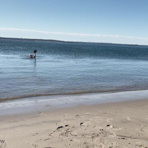 Video by brentrayfraserxxx published on June 7,2023 21:40:00 - BestThots