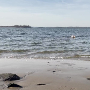 Video by brentrayfraserxxx published on June 3,2023 01:52:00 - BestThots