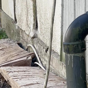 Video by brentrayfraserxxx published on June 23,2023 18:04:00 - BestThots