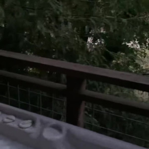 Video by amberdawnxxx published on July 25,2023 13:01:00 - BestThots