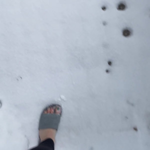 Video by amazonjacq published on May 7,2023 02:17:00 - BestThots