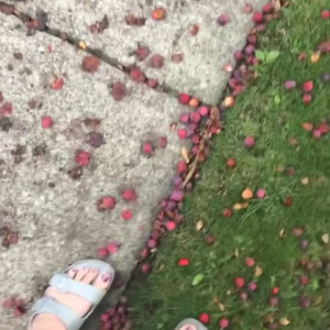 Video by amazonjacq published on March 13,2023 02:54:00 - BestThots