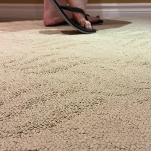 Video by amazonjacq published on May 31,2023 10:43:00 - BestThots