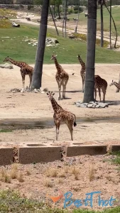 Video by pantyhose_princess99 published on January 20,2025 18:00:30 - BestThots