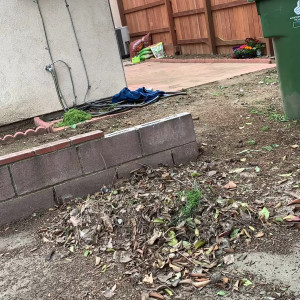 Video by misslacylennon published on June 26,2023 05:59:00 - BestThots