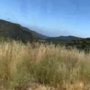 Video by misslacylennon published on March 30,2023 18:51:00 - BestThots