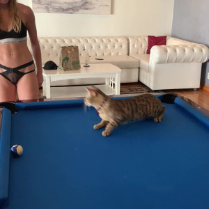 Video by misshannahhub published on April 21,2023 07:18:00 - BestThots