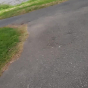 Video by staytrueatme published on May 11,2023 08:19:00 - BestThots
