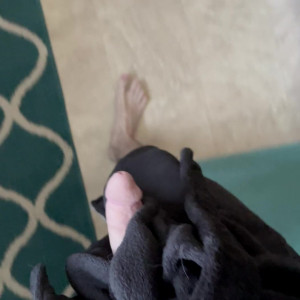 Video by thatskinnyboy published on April 2,2023 05:17:00 - BestThots