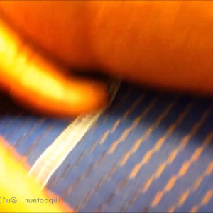 Video by hippotaur published on March 2,2023 19:34:00 - BestThots