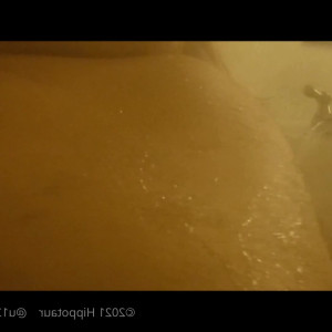 Video by hippotaur published on July 22,2023 20:43:00 - BestThots
