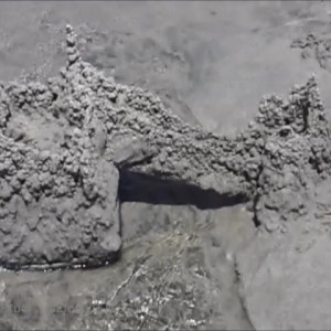 Video by hippotaur published on July 30,2023 23:29:00 - BestThots