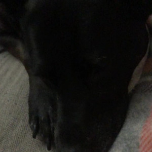 Video by pastelfurious published on August 24,2023 20:38:19 - BestThots