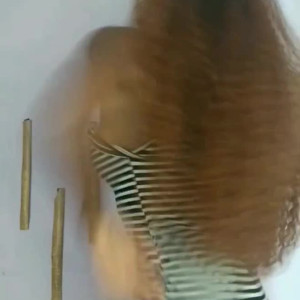sttella #4815435