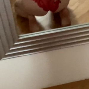 innocentangelinafree #5237879