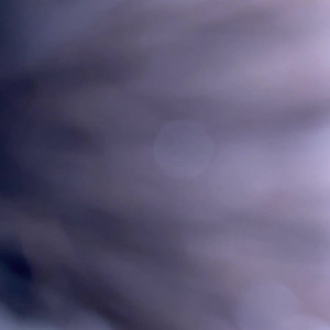 Video by melkhalifa published on May 16,2023 01:47:00 - BestThots
