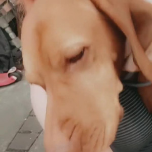 Video by xivy-wildx published on March 3,2023 13:07:00 - BestThots