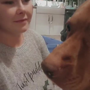 Video by xivy-wildx published on April 18,2023 10:52:00 - BestThots