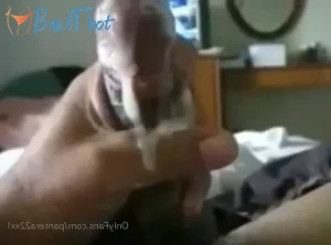 pantera22xxl #9741477