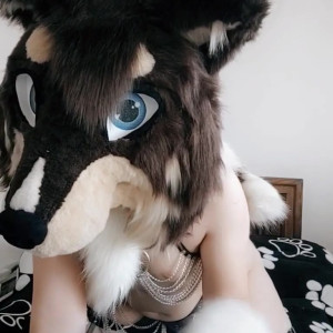 naughtycolliead #4887986