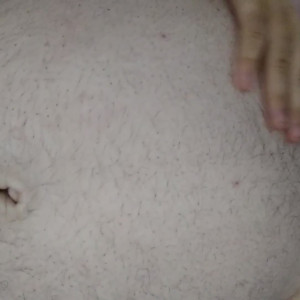 Video by bigbellyct published on May 7,2023 06:05:00 - BestThots