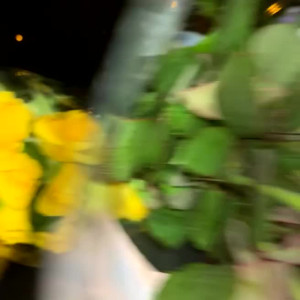 Video by maralinren published on April 4,2023 10:32:00 - BestThots