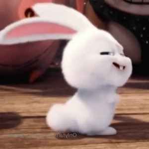 Video by rylie_rowan published on July 21,2023 21:28:00 - BestThots