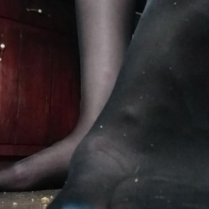 Video by sammis-soless published on April 2,2023 14:26:00 - BestThots