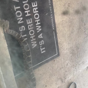 Video by bakedveggie published on October 25,2023 14:56:41 - BestThots