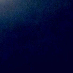 Video by torilynrodgers1 published on April 25,2023 15:28:00 - BestThots
