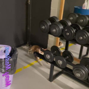 Video by marymadison published on June 19,2023 20:58:00 - BestThots