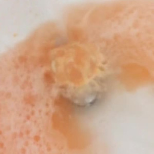 Video by patienceann published on August 16,2023 10:16:00 - BestThots