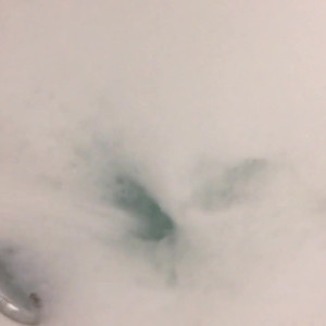 Video by patienceann published on July 11,2023 09:39:00 - BestThots
