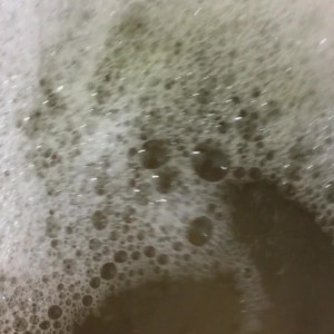 Video by patienceann published on August 24,2023 14:36:00 - BestThots