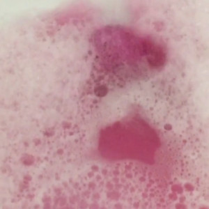 Video by patienceann published on April 24,2023 14:36:00 - BestThots