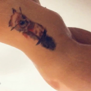 Video by patienceann published on July 18,2023 02:35:00 - BestThots