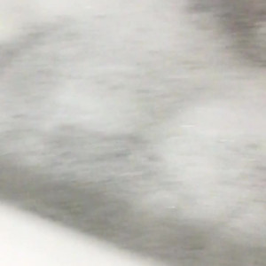 Video by patienceann published on March 25,2023 09:51:00 - BestThots