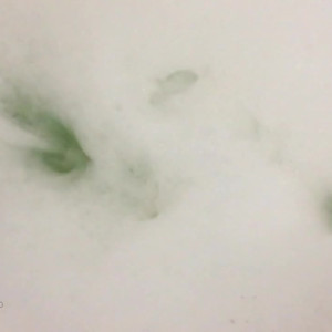 Video by patienceann published on June 24,2023 02:20:00 - BestThots