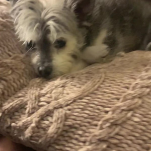 Video by christinacarter published on August 10,2023 03:34:00 - BestThots