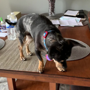 Video by christinacarter published on August 6,2023 16:29:00 - BestThots