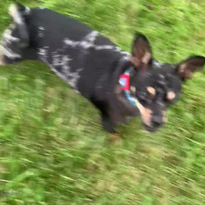 Video by christinacarter published on July 21,2023 07:29:00 - BestThots