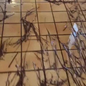 Video by christinacarter published on July 23,2023 06:11:00 - BestThots