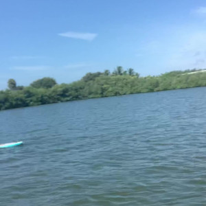 Video by christinacarter published on August 13,2023 03:14:00 - BestThots