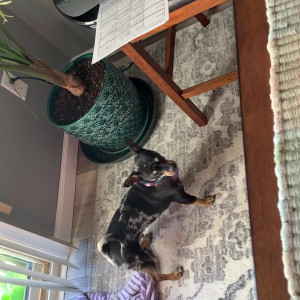 Video by christinacarter published on August 22,2023 19:50:00 - BestThots